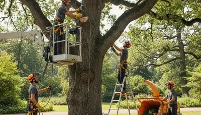 West Palm Beach arborist treating tree disease to protect trees from fungus and decay