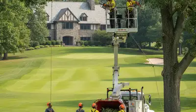 Tree service crew in West Palm Beach, FL providing professional tree removal and trimming services