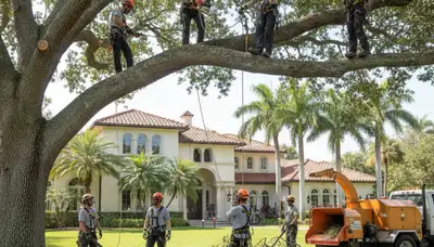Tree removal crew serving West Palm Beach, FL for safe residential and commercial tree services