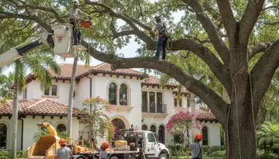 Tree service crew in West Palm Beach, FL removing a tree for safe property protection
