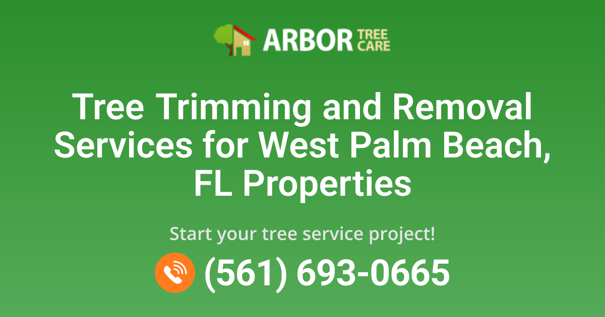 West Palm Beach, FL Tree Service Company | Arbor Tree Care
