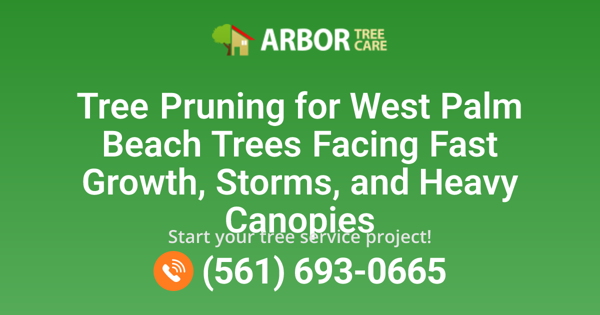 West Palm Beach Tree Pruning Services | Arbor Tree Care